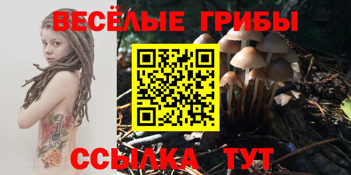 Псилоцибиновые грибы MAGIC MUSHROOMS Новоалександровск